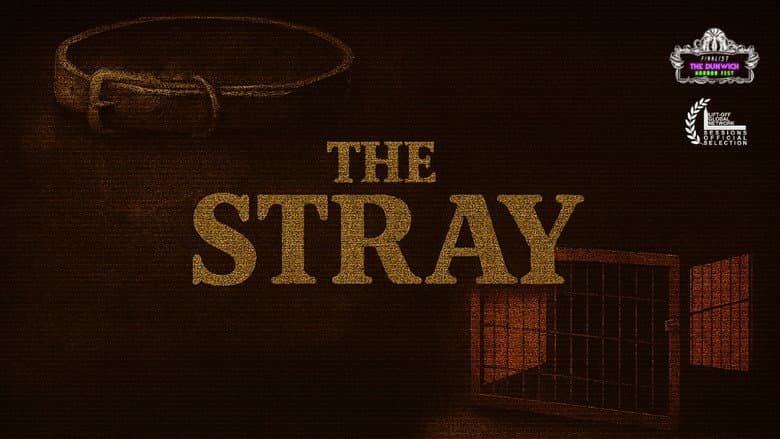 Backdrop from The Stray