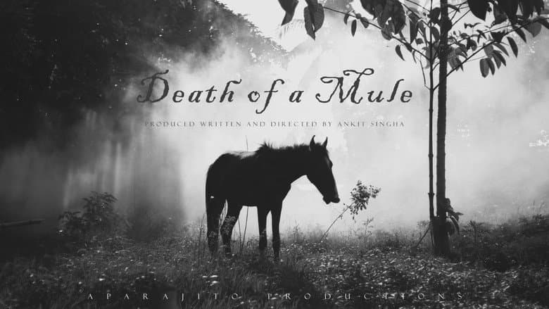 Backdrop from Death of a Mule