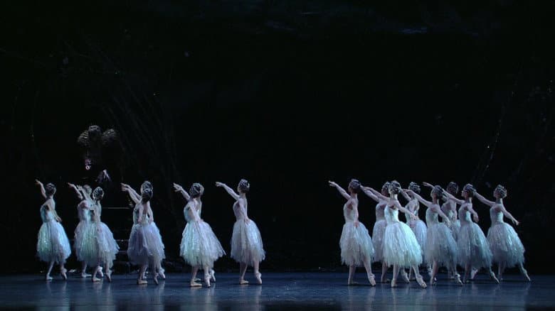Backdrop from Swan Lake