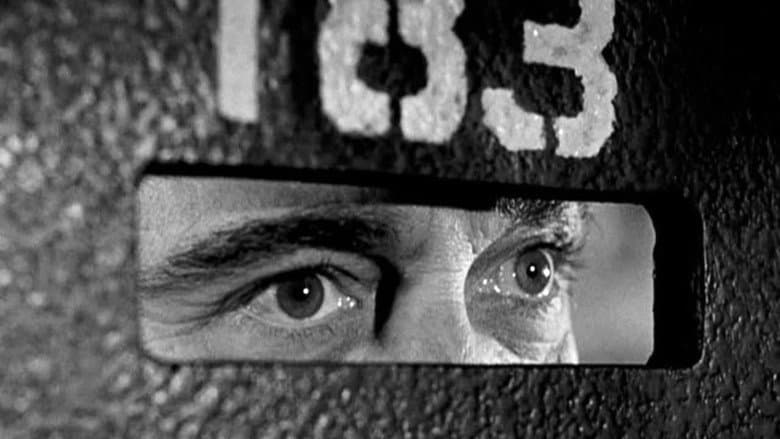 Backdrop from Inside the Walls of Folsom Prison