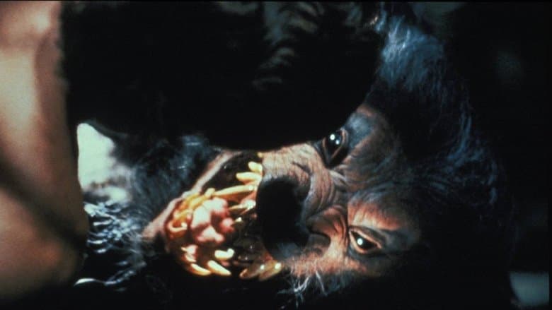 Backdrop from Howling V: The Rebirth