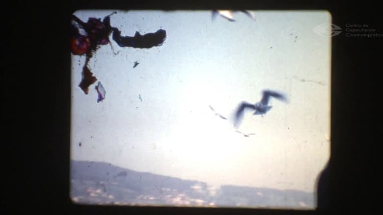 Backdrop from Lupulos' House