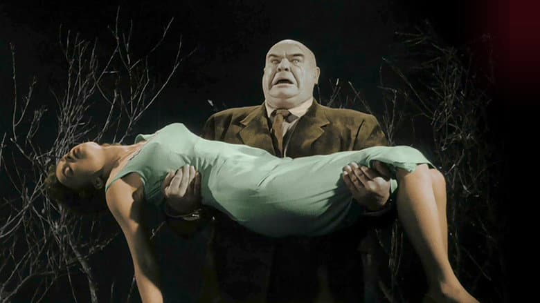 Кадр із фільму «Flying Saucers Over Hollywood: The 'Plan 9' Companion»