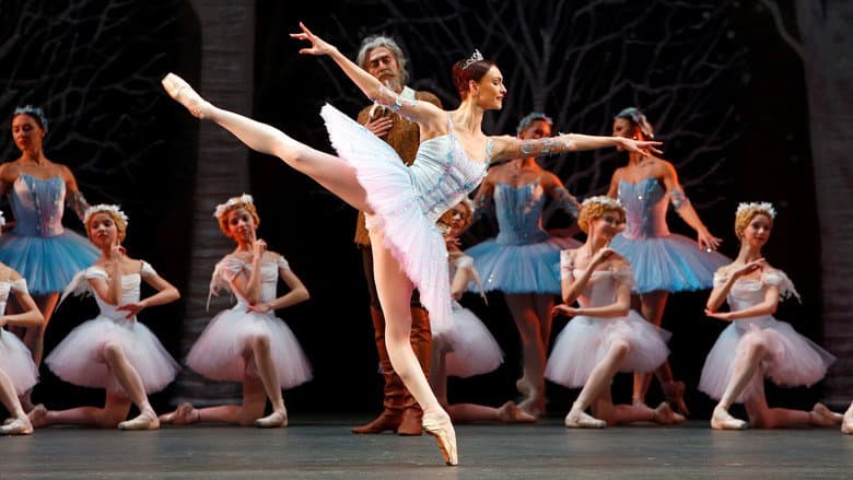 Backdrop from Bolshoi Ballet: Don Quixote