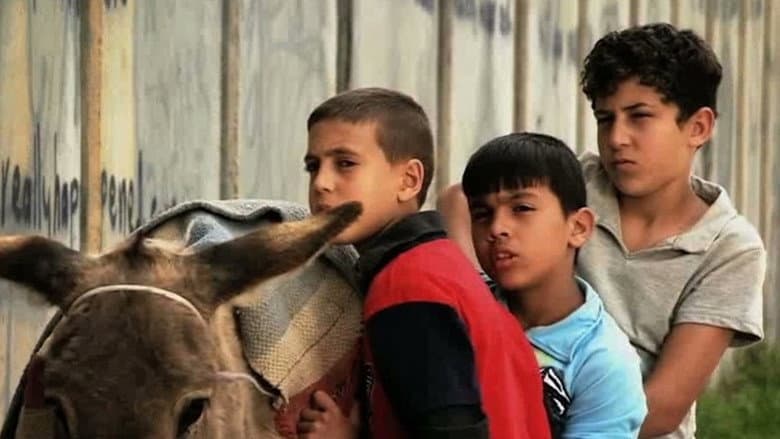 Backdrop from A Boy, A Wall, and A Donkey