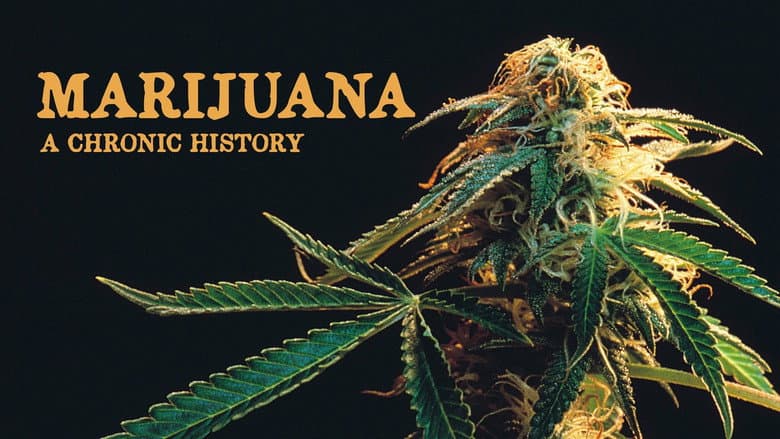 Backdrop from Marijuana: A Chronic History