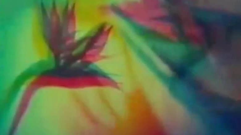 Backdrop from The Psychedelic Experience