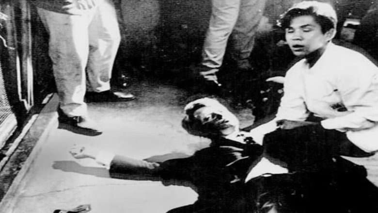 Backdrop from RFK Must Die: The Assassination of Bobby Kennedy