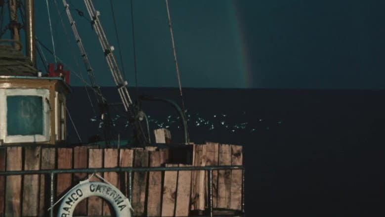Backdrop from Fishing Boats