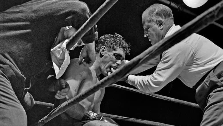 Backdrop from Day of the Fight