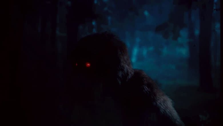 Backdrop from The Kinderhook Creature: In the Shadow of Sasquatch