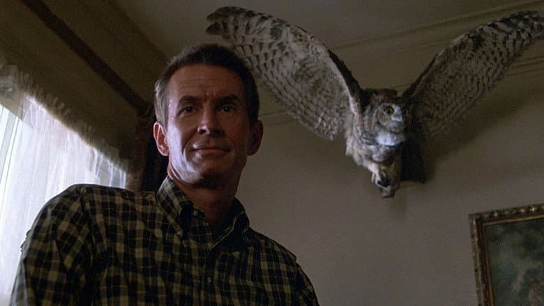 Backdrop from Psycho III