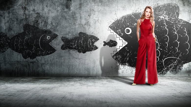 Backdrop from Sofía Niño de Rivera: Natural Selection