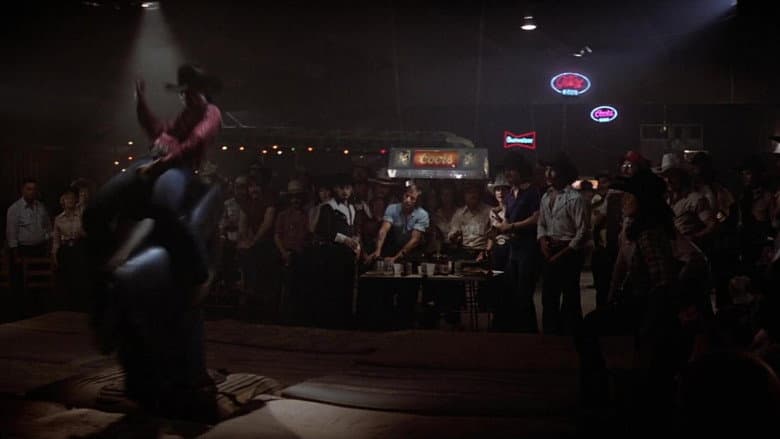Backdrop from Urban Cowboy