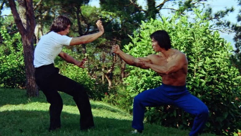 Backdrop from Bruce's Deadly Fingers