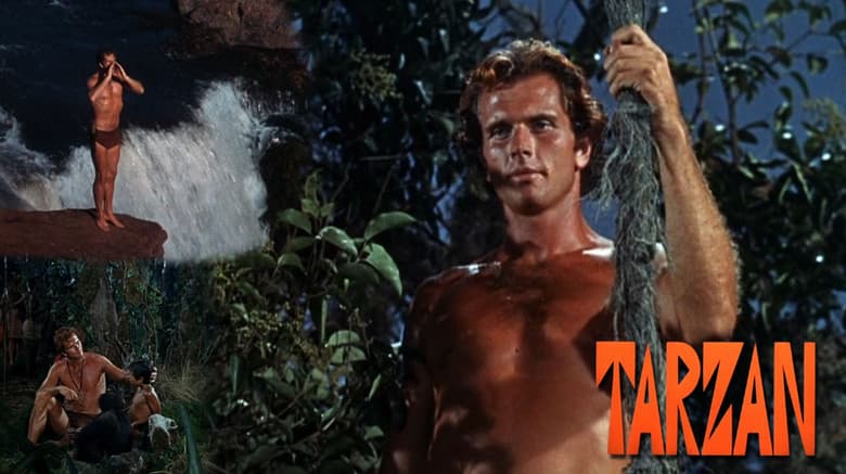 Backdrop from Tarzan