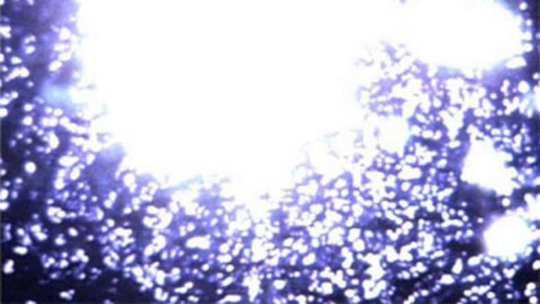 Backdrop from Tranquil