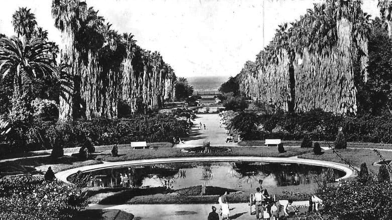 Backdrop from Alger Et Ses Environs