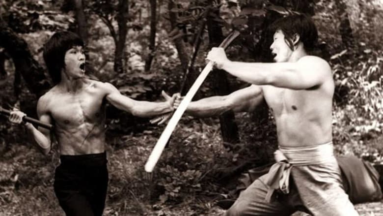 Backdrop from Enter the Game of Death