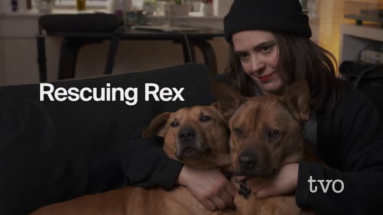 Backdrop from Rescuing Rex