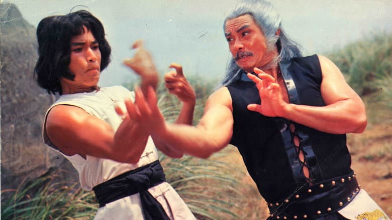 Backdrop from Kung Fu of 8 Drunkards