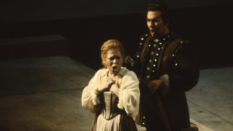 Backdrop from Luisa Miller: Metropolitan Opera