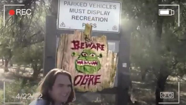 Backdrop from The Blair Swamp Project