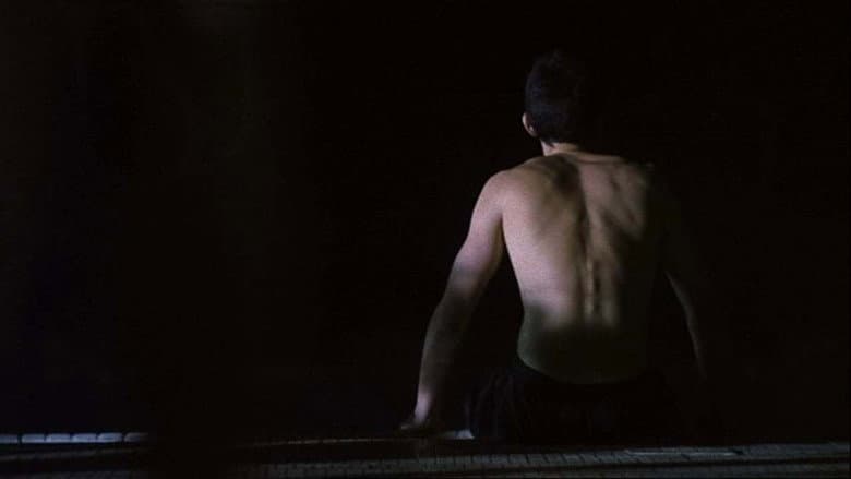 Backdrop from Nightswimming