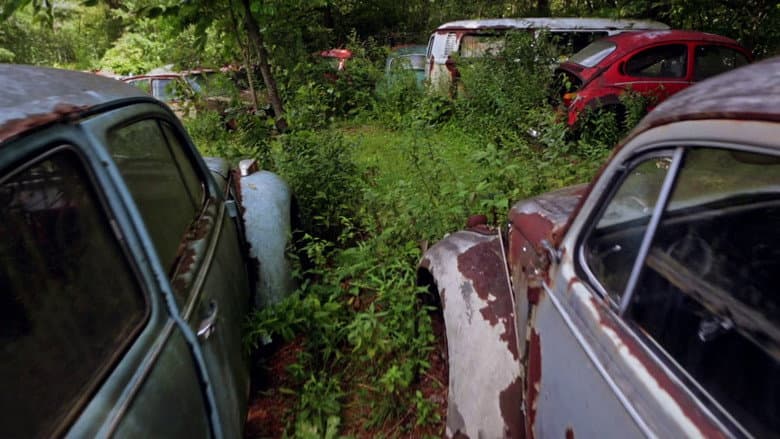Backdrop from The Bug: Life and Times of the People's Car
