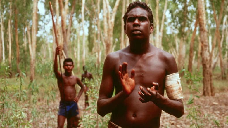Backdrop from Yolngu Boy