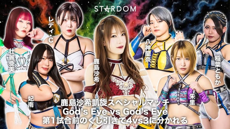 Backdrop from Stardom in Matsue 2025