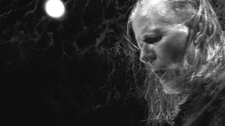 Backdrop from Swans: Where Does a Body End?