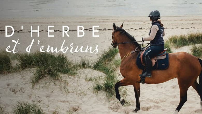 Backdrop from D'herbe et d'embruns