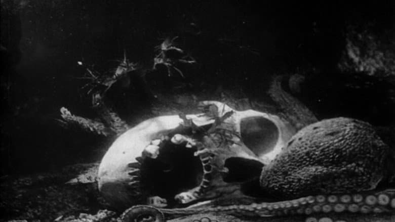 Backdrop from The Octopus