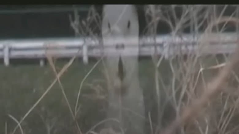Кадр із фільму «Cursed Psychic Video XXX 7»