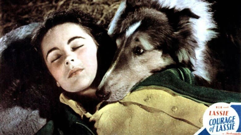 Backdrop from Courage of Lassie