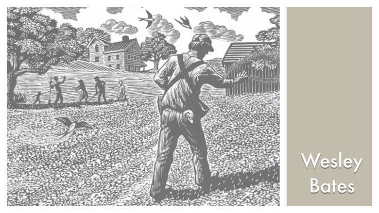 Backdrop from LOOK & SEE:  Wesley W. Bates - Wood Engraver