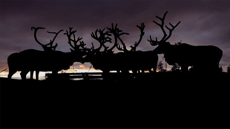 Backdrop from The Breath of the Tundra