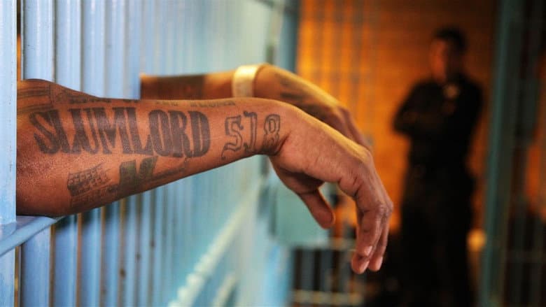 Backdrop from Life Inside Jail: Hell On Earth