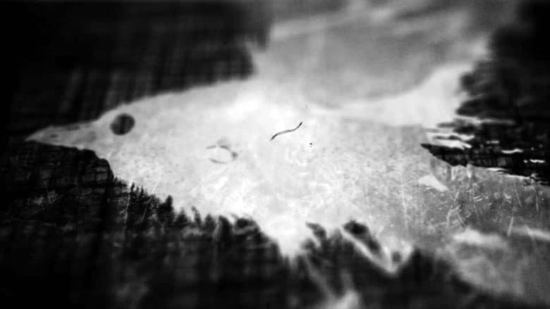 Backdrop from Ted Hughes: Stronger Than Death
