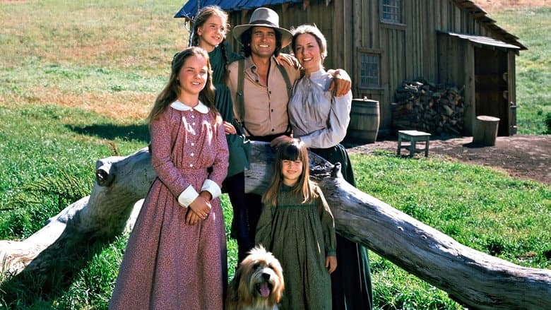 Backdrop from Little House on the Prairie