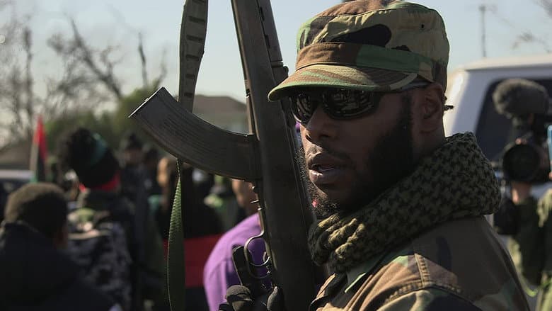 Backdrop from Black Power: America's Armed Resistance