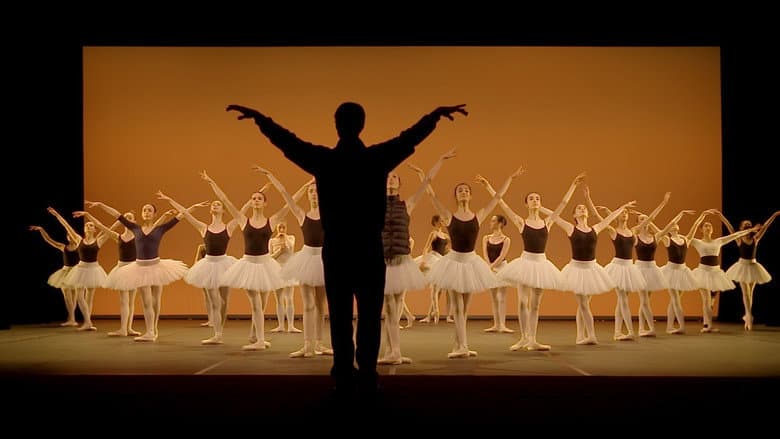 Backdrop from Seule la danse, une année au conservatoire de Paris