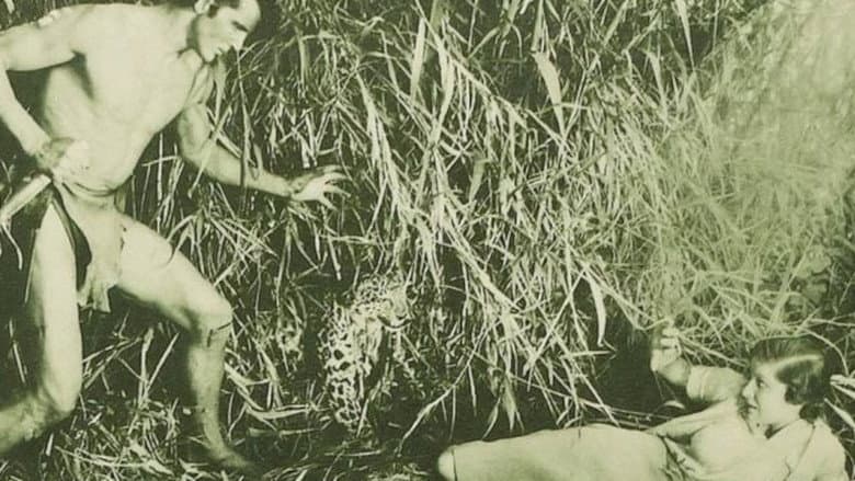 Backdrop from The New Adventures of Tarzan