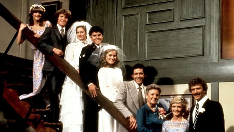 Backdrop from The Brady Brides