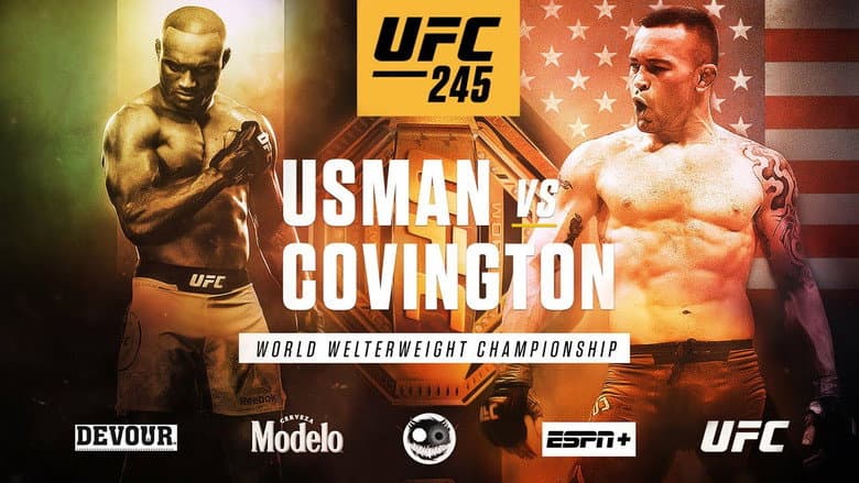 Backdrop from UFC 245: Usman vs. Covington