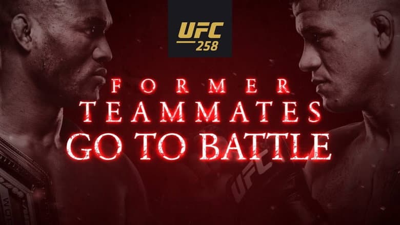 Backdrop from UFC 258: Usman vs. Burns