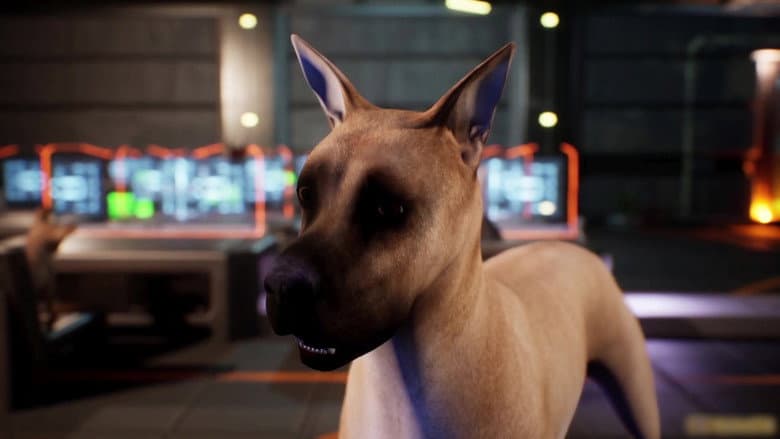 Backdrop from Avenger Dogs