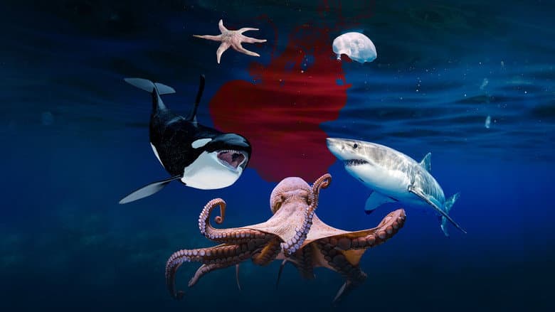 Backdrop from Deep Sea Killers