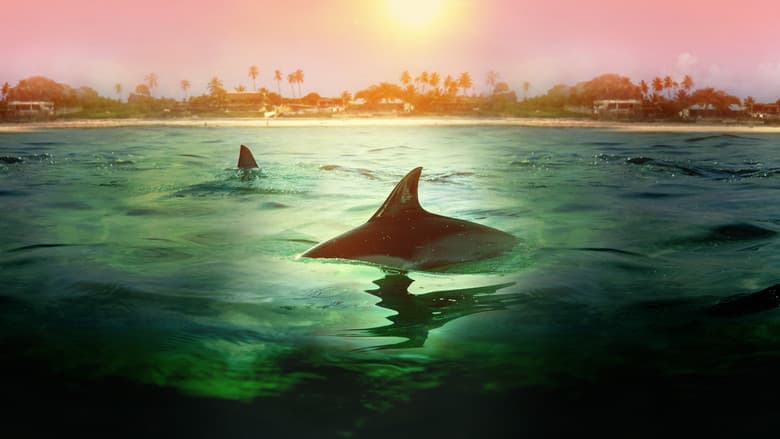 Backdrop from Sharks vs. Dolphins: Bahamas Battleground